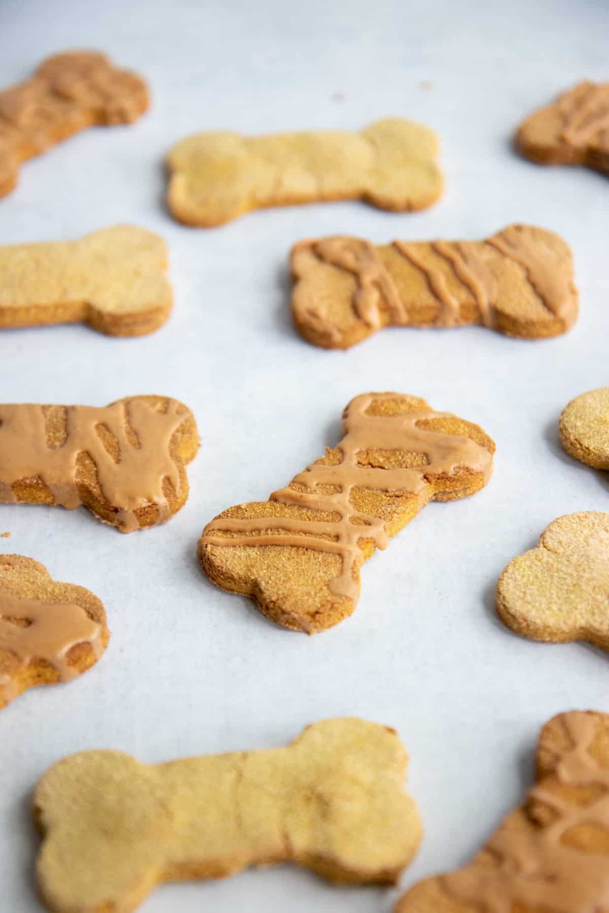 Grain-Free Pumpkin Coconut Dog Treats