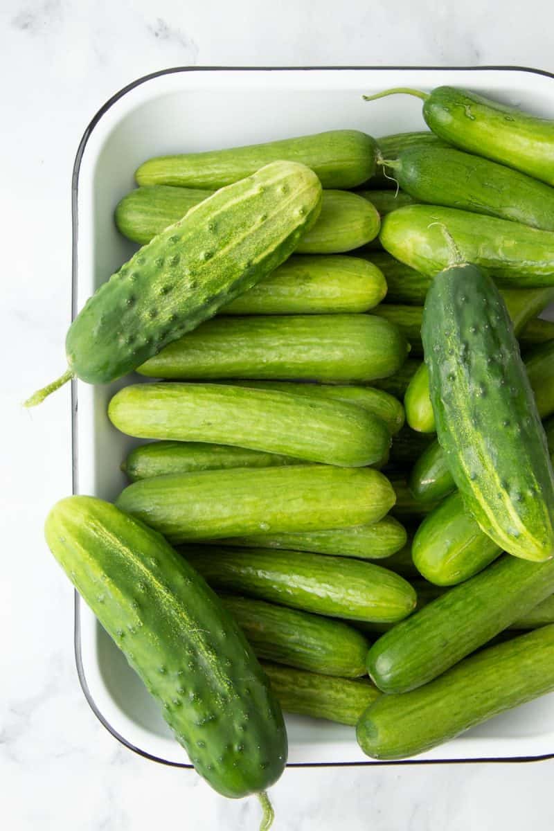 Overhead of fresh cucumbers on a tray.