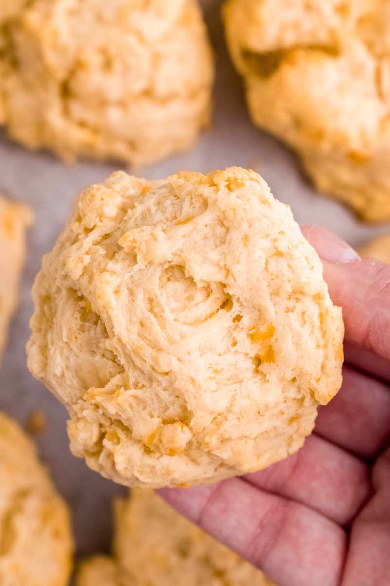 A hand holds up a fluffy biscuit above other biscuits in the background.