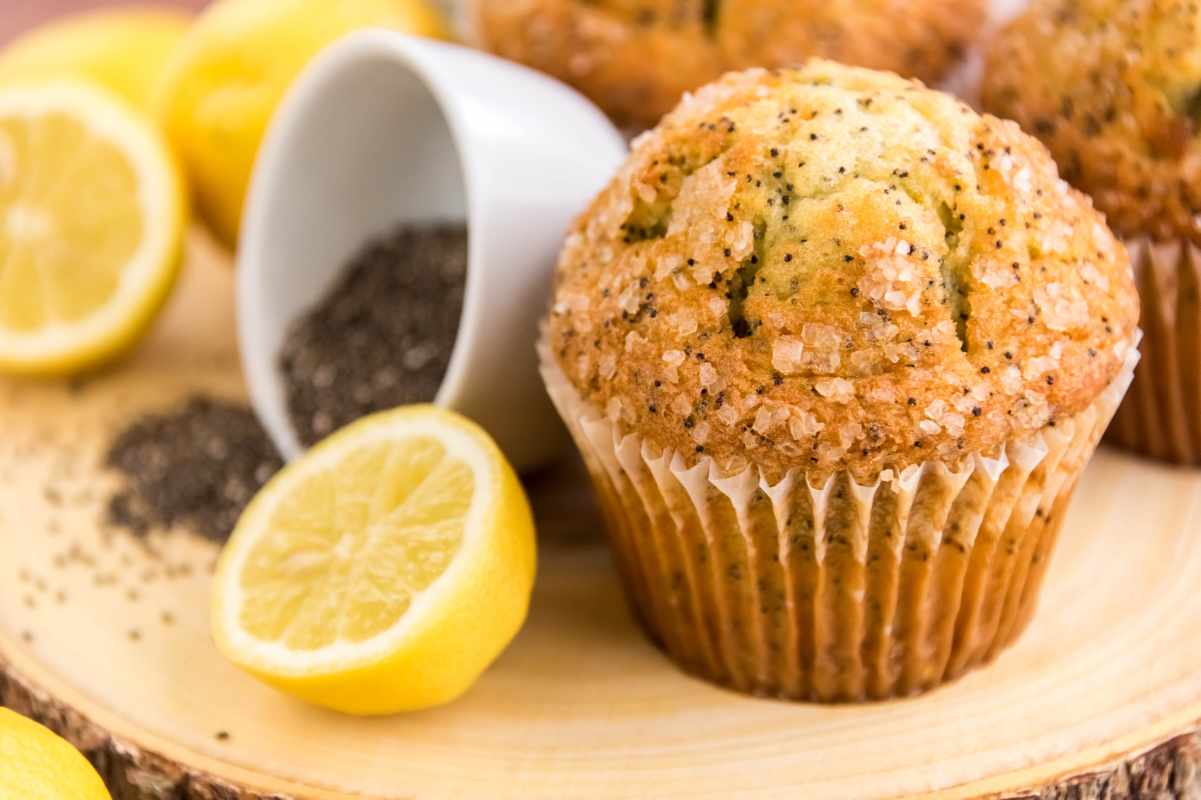 Lemon Poppy Seed Muffins