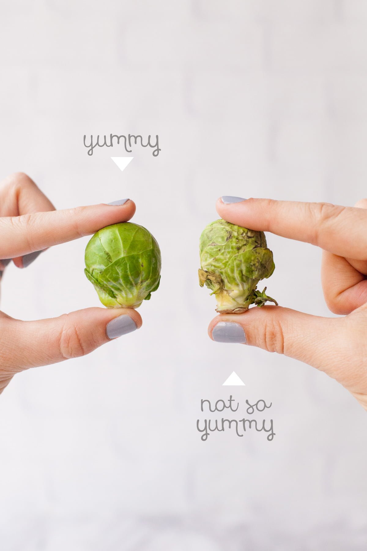 Hands hold up two Brussels sprouts - one that is in good shape, and one that isn't