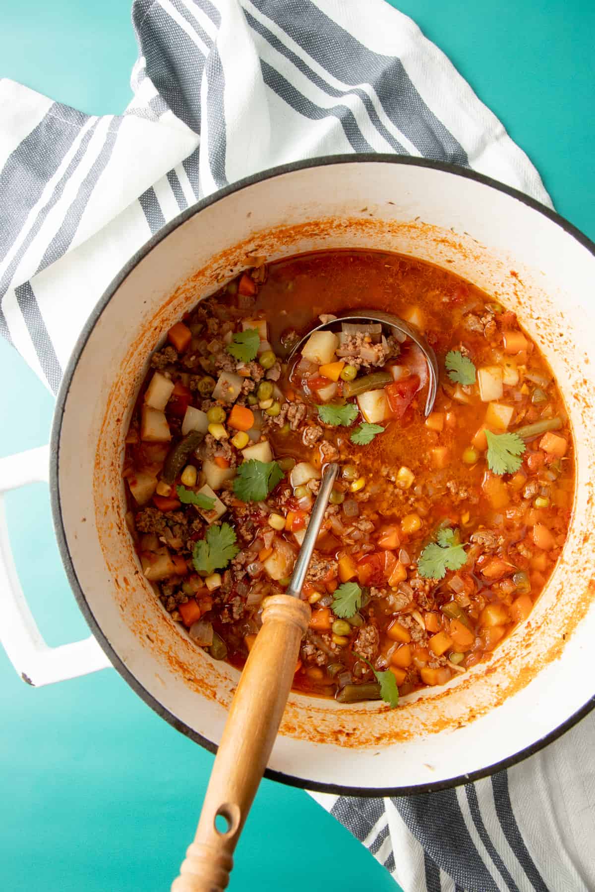 A ladle dips into a Dutch oven full of soup.